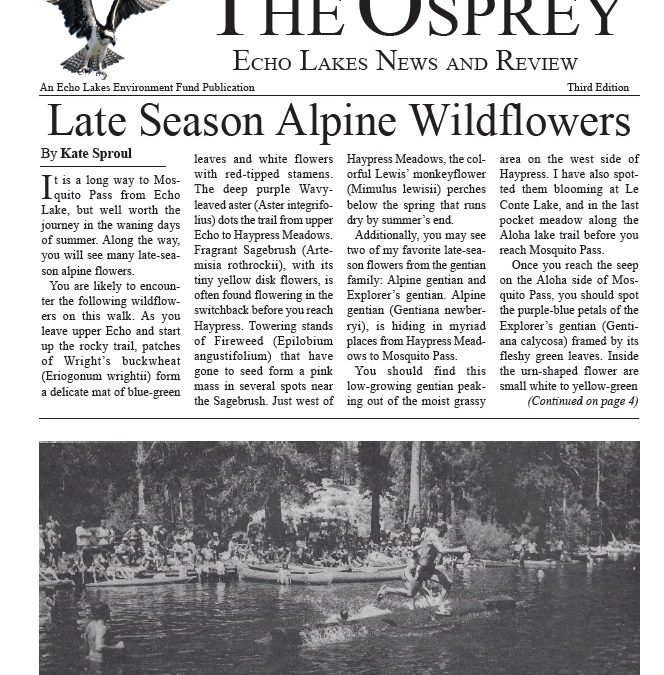 The Osprey – Edition 2 (2019)