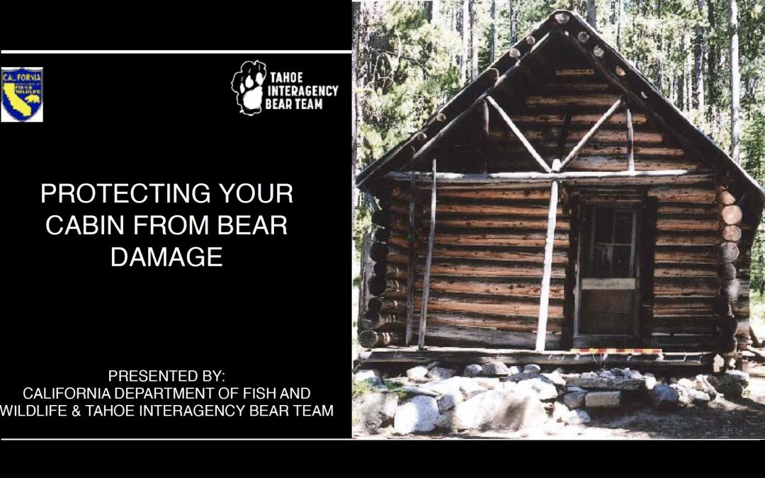 Protecting historic Echo cabins from bears: Saturday July 6, 2024, 11:30am, Chalet meadow