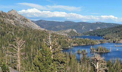 Summertime & Bears – July 2025 Update